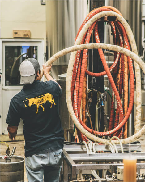 San José del Cabo Brewery