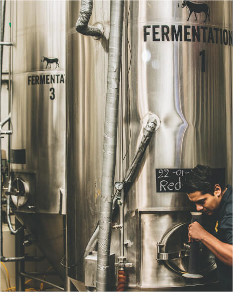 San José del Cabo Brewery